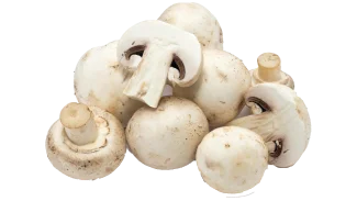 image-mushrooms